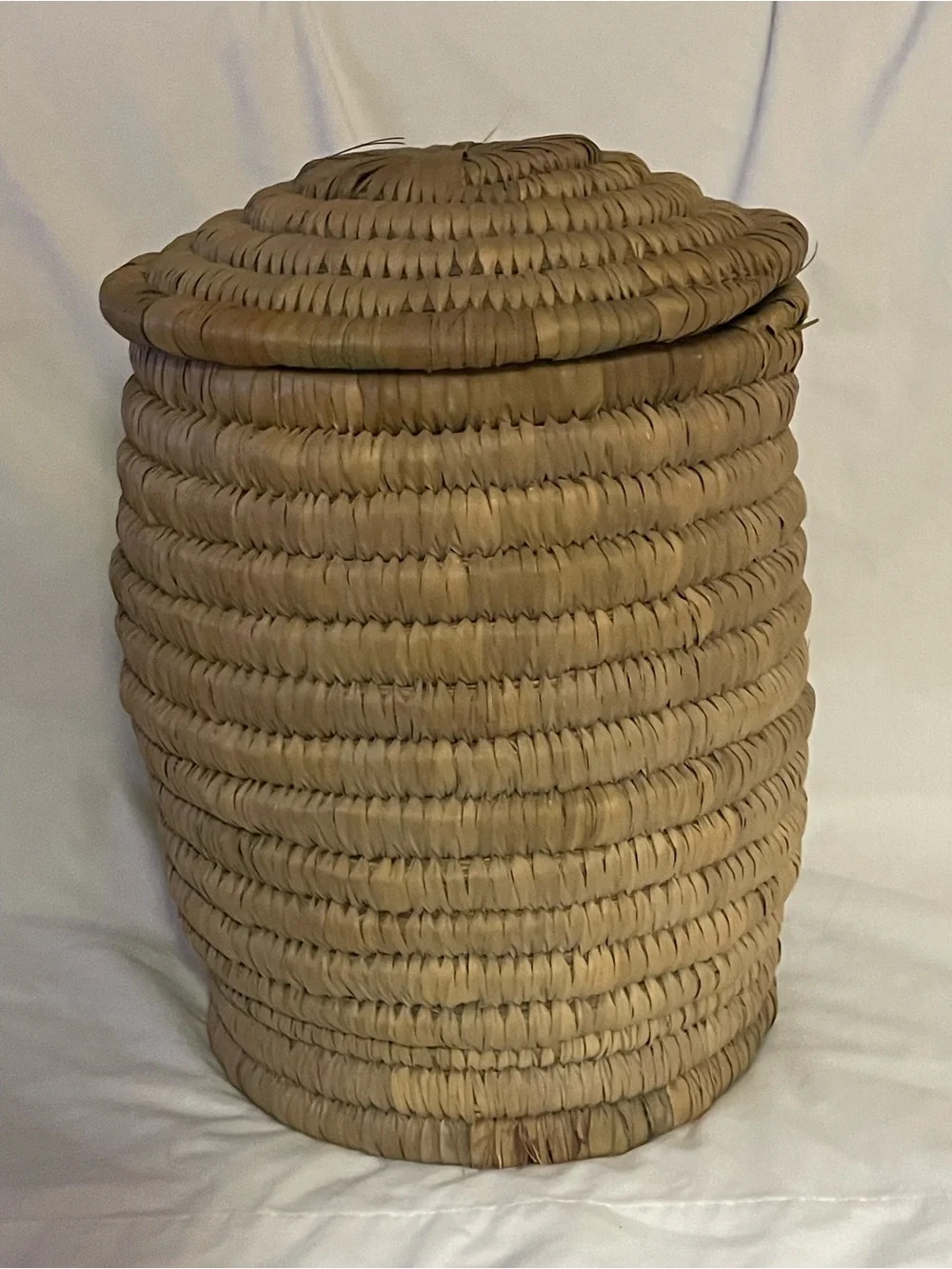 Handwoven Coiled Raffia 14” Lidded Snake Charmer Basket